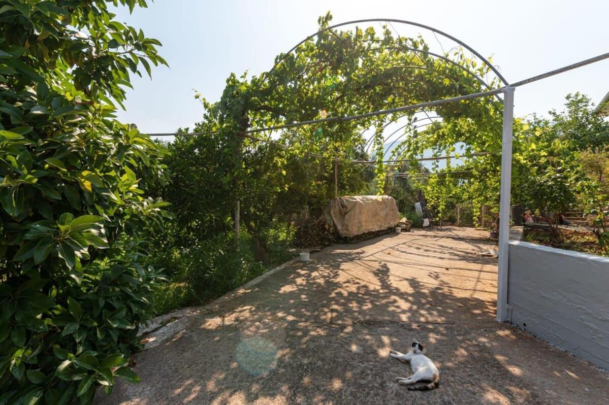 Serene Seaside Bliss - Lush & Secluded Garden Oasis Каламата Екстериор снимка